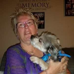 Meet your Posher, Sheila